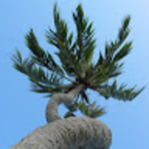 Meet your Posher, Teri